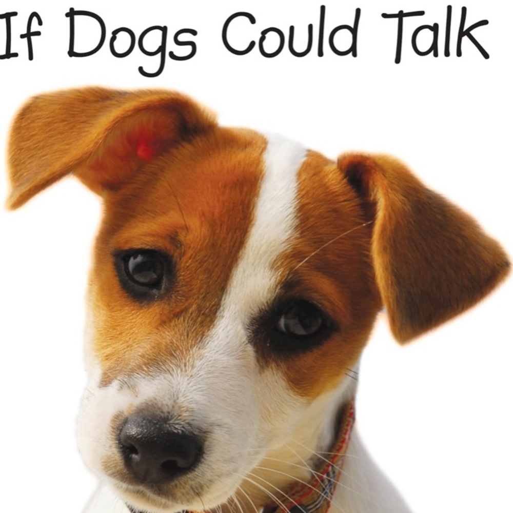 If Dogs Could Talk Book